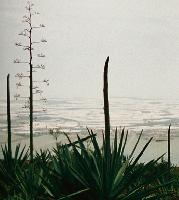 »El Mar de Plastico« nennt Christoph Lammers dieses Foto. 	Foto: VA