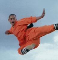 Spektakulär  die Mönche des Shaolin-Klosters können mehr als nur hoch springen. 	Foto: VA