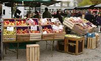 Bei herrlichem Wetter zog es viele Echinger auf den Viktualienmarkt.	Foto: ba