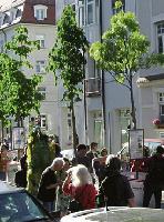 Mit einem fröhlichen Umzug ziehen die Wanderbäume von der Clemensstraße ins Hackenviertel. Foto: VA
