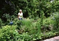 Anneliese Ugler stellt am Tag der offenen Gartentür ihren Wohlfühlgarten vor.	 Foto: Woschée
