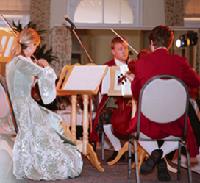 Rossinis Klänge werden die Besucher bezaubern. Präsentiert werden die schönsten Arien und Duette. Foto: VA