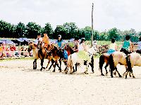 Voller Stolz zeigten die kleinen Reiter beim Sommerfest, was sie schon alles gelernt haben. Foto: PB