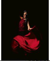 Flamenco bedeutet Leidenschaft pur.	Foto: VA