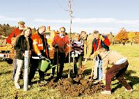 Die Lokale Agenda 21 pflanzte mit Hilfe von Bürgermeister Stefan Schelle (3. v. r.) 12 Obstbäume für eine Streuobstwiese. Foto: hol