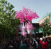 1000 rosa Luftballons stiegen unter großem Hallo  in den Himmel.