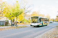 Die Buslinie 220 ist bei Bürgern aus der Siedlung am Perlacher Forst in die Kritik geraten. Foto: Hettich