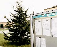 Ein neuer Weihnachtsbaum schmückt inzwischen wieder den Platz vor dem Schwimmbad.   Foto: Sala