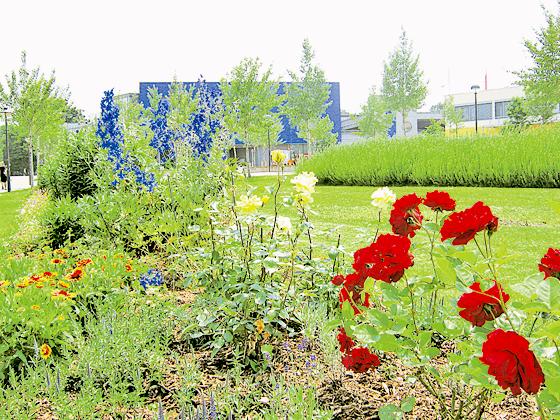 Den Poingern blüht etwas: Blumenbeete im Ort und hoffentlich eine gute Bewertung der Jury von »Entente Florale«. Foto: Gemeinde Poing