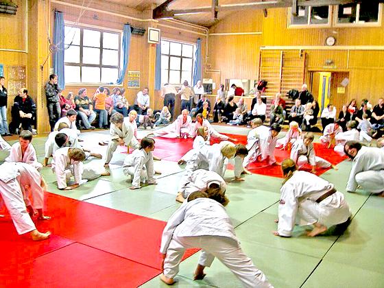 Judo macht Spaß, bringt Kondition und schult die Koordination.	Foto: VA