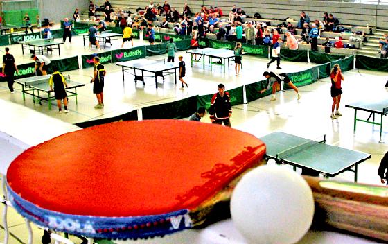 Am 20. und 21. November findet wieder das alljährliche Tischtennisturnier in der Gebrüder-Apfelbeck-Halle in Milbertshofen statt. 	Foto: Verein