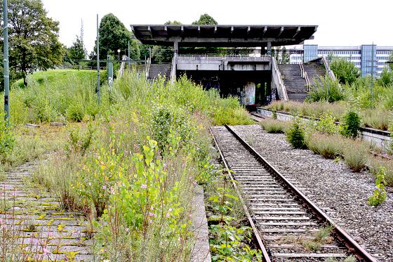 Die Stadt möchte die ausrangierte Bahnhofsanlage künftig als übergeordnete Grünverbindung nutzen und damit den Olympiapark erweitern. 	Foto: ws
