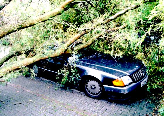 Sturmschaden: Durch Stürme können sehr schnell größere Schäden am  Auto verursacht werden.