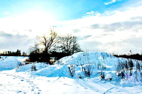 Der Landschaftspark Hachinger Tal erstrahlt aktuell im winterlichen Glanz.	Foto: Barbara Berg-Kloenhammer