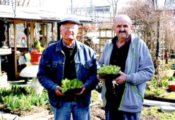 Günter Eppeneder (links) und Rudolf Bukowczan kämpfen für den Erhalt der Kleingartenanlage an der Hartmannshofer Straße.	Foto: ws