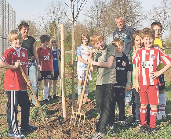 Mit Feuereifer pflanzten junge Spieler des FC Deisenhofen neue Obstbäume.  Foto: hol