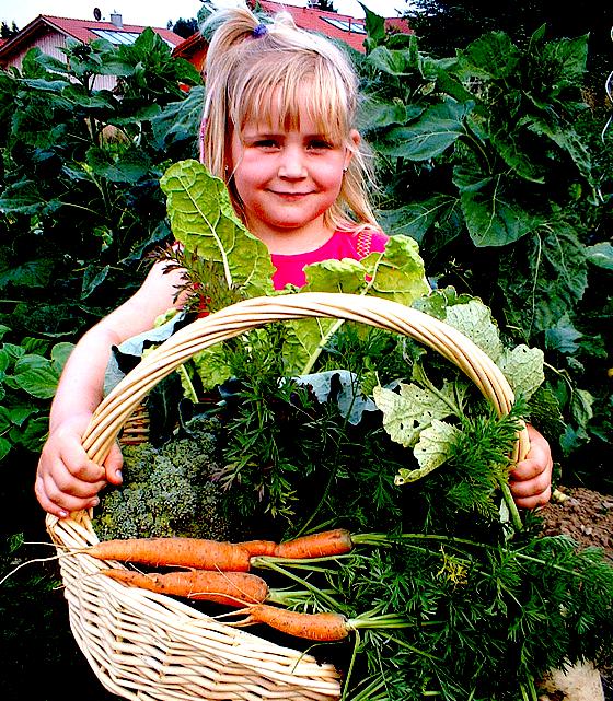 Auf den Sonnenäckern kann man selber Gemüse und Blumen anbauen, Kinder findens prima.	Foto: VA