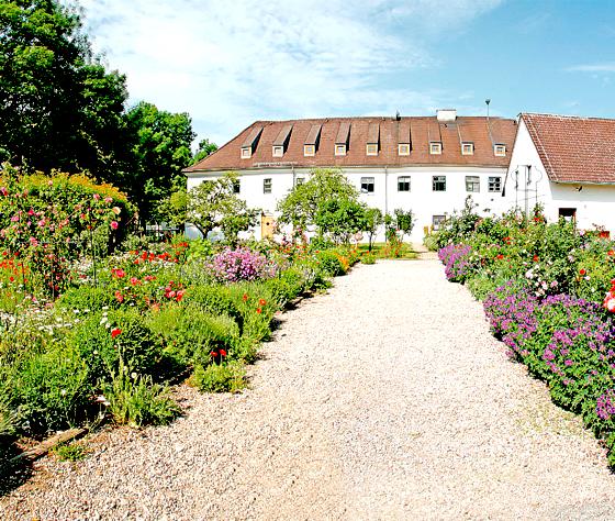 Die Gartenwelt im ehemaligen Franziskanerkloster. 	