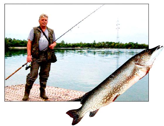Robert Spiller ist stolz auf seinen ungewöhnlichen Fang. Der Hecht war 1,25 Meter lang und wog 32 Pfund.  	Fotos: Privat