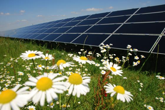 Die Freiflächen-Fotovoltaikanlage im Haarer Ortsteil Salmdorf von 3,8 Hektar, produziert ein Megawatt Strom.	Foto: Gehrlicher Solar AG
