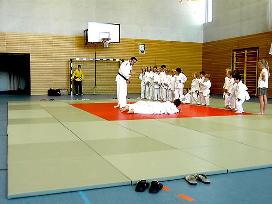 Beim Probetraining kann man einen ersten Eindruck vom Judo-Sport gewinnen.	Foto: VA