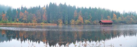 Der Hackensee bei Kleinhartpenning ist Ziel einer dreistündigen Wanderung mit der Gymnastikabteilung des SVN. 	Foto: Verein