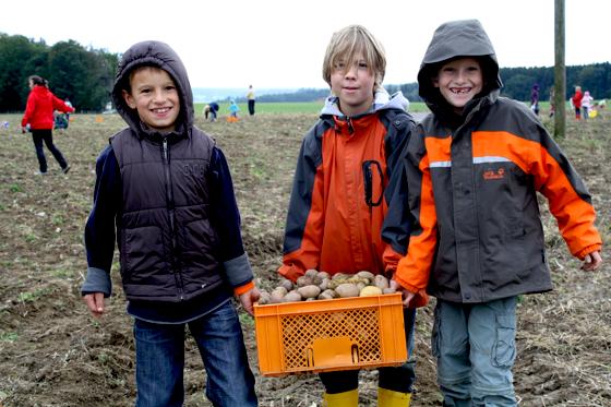Bei der Ernteaktion haben Kinder der Montessorischule Kartoffeln zusammengetragen. 	Foto: Schule