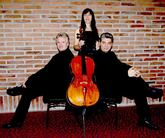 Das »gelius trio« präsentiert am 19. November im Hallbergmooser Gemeindesaal einen Querschnitt der Musikliteratur für Klaviertrios. 	Foto: VA