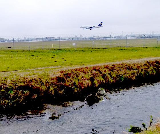 Das ist zwar ein Entwässerungs- und kein Abwasserkanal am Flughafen  aber der ist mit seinem Enteisungsabwasser daran schuld, dass man keine Energie aus dem Erdinger Abwasser gewinnen kann. 	Foto: bb
