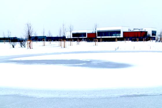 Der Teich im neuen Sport- und Freizeitpark wäre ideal geeignet für Eislaufen, Stockschießen oder Hockey  leider verhindert eine fehlerhafte Technik das Zufrieren der 2000 Quadratmeter Eisfläche. Foto: bb