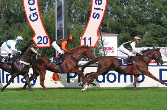 Auch in der neuen Saison dürfen sich Pferdenarren wieder auf spannende Rennen freuen.	Foto: S.Brodka
