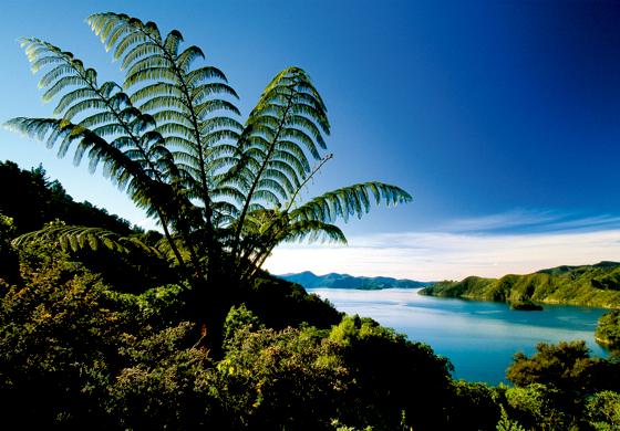 Über die Schönheiten Neuseelands berichtet Dirk Bleyer in einem Dia-Vortrag.	Foto: VA