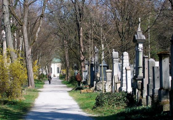 Der Alte Südliche Friedhof hat eine lange Geschichte.	Foto: ÖBZ