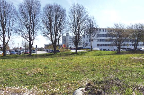 Hier neben dem Krankenhaus Erding soll die neue Fachakademie für Gesundheitsberufe so schnell wie möglich für rund 6 Millionen Euro gebaut werden. 	Foto: bb