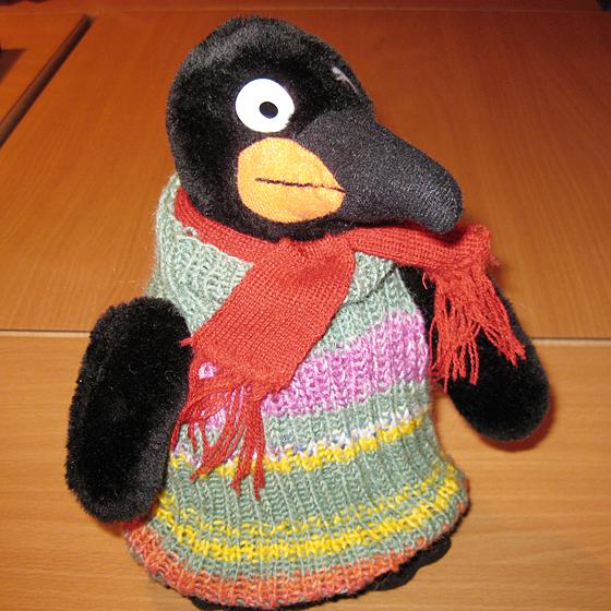 Haarer stricken kleine Mini-Pinguin-Pullover für ein Pinguin-Rehabilitationszentrum. Foto: Privat