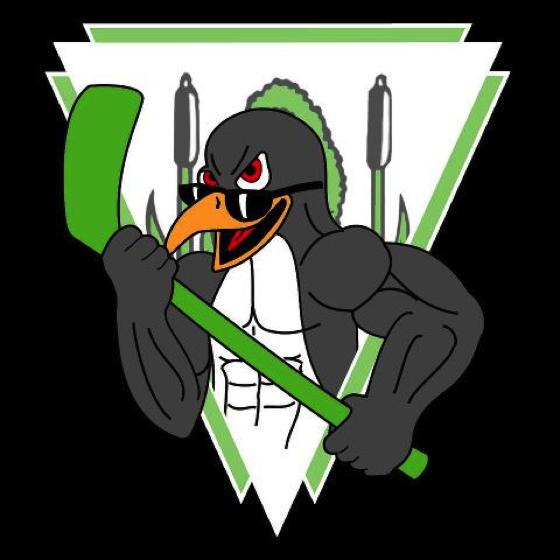 Das Logo der Hallbergmoos Penguins ist ebenso fertig wie die Satzung  nun fehlen nur noch genügend Inlinehockey- und Eishockey-Spieler. Grafik: Thomas Mach