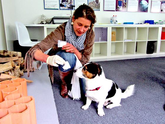 Ursula Sauer trainiert unter anderem Balou. Der Mischlingshund soll im Rahmen einer Studie lernen, Lungenkrebs schon im Frühstadium  zu erkennen.	Foto: aba