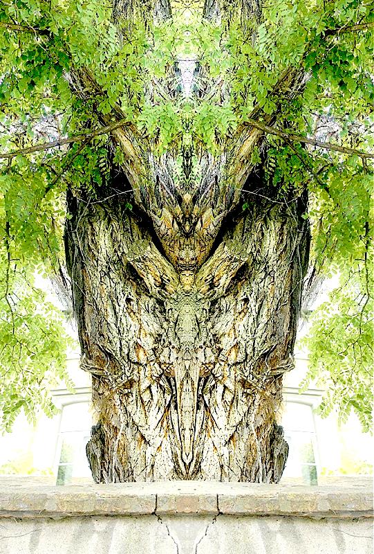 Clarissa van Amseln: Holzengel, 2010, Zwölf-Farben Fine-Art-Print, circa 70 x 140 Zentimeter: Im Foto einer Robinie erscheint in der Spiegelung eine filigrane Engelsfigur.	Foto: VA