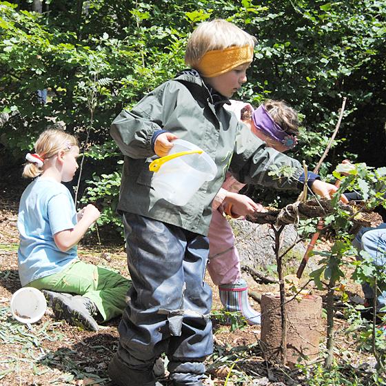 Ein spannendes Programm erwartet Kinder und Familien in den Sommerferien im Museum Wald und Umwelt. Museum