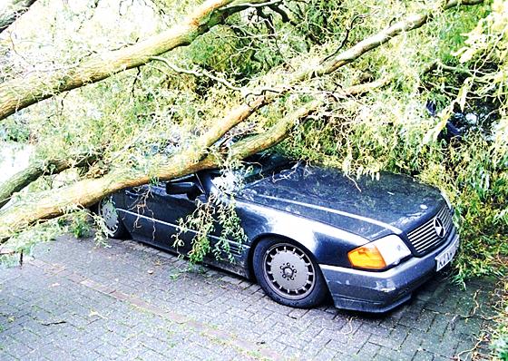 Umgestürzte Bäume oder Äste durch Unwetter sind ein Fall für die Teilkasko. Foto: ADAC