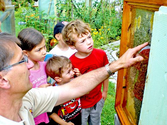 Imker Georg Mitterer zeigte den Kindern, wie die Bienen leben und wie Honig entsteht.	Foto: VA