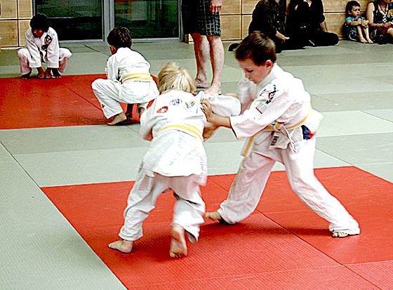 Der TSV Unterhaching veranstaltete eine Judo-Safari für seine Buben und Mädchen. 	Foto: VA