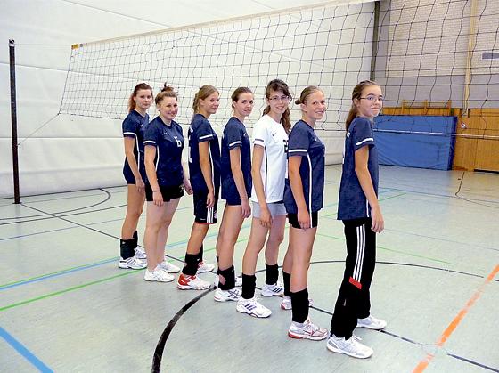 Nicht nur die Damenmannschaft hofft auf Verstärkung in ihrem Volleyball-Team.	Foto: VA