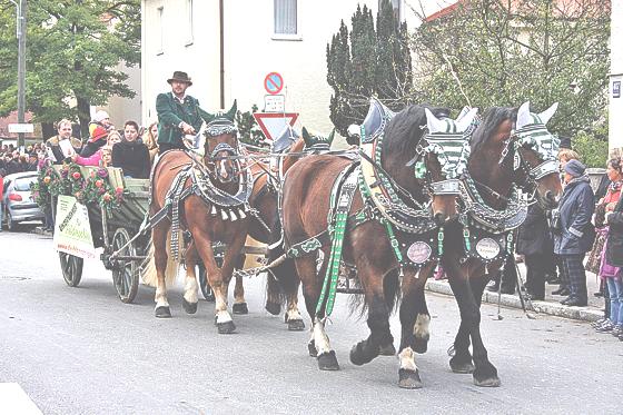 Er hat Tradition: Der Feldmochinger Rosstag jährt sich heuer zum 30. Mal. Am Kriegerdenkmal werden Pferde, Reiter und Gespanne gesegnet. 	Foto: Archiv