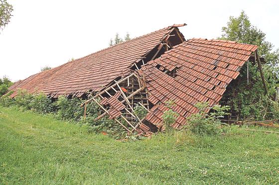 Auf dem Gelände der ehemaligen Ziegelei Josef Haid in Oberföhring gibt es noch einen Trockenstadel, den der Verein NordOstKultur erhalten möchte.	Foto: VA