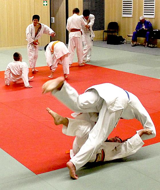Das neue Judo-Trainingsangebot ist Teil der Erlebten Integrativen Sportschule. 	Foto: VA