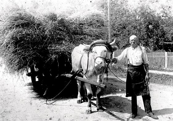 An das oftmals harte und entbehrungsreiche Leben armer Bauern erinnert der kulturhistorische Verein mit historischen Aufnahmen.	Foto: VA