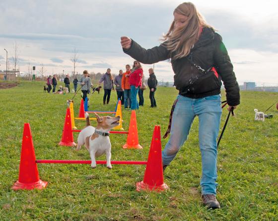 Genug Platz zum Spielen und Toben haben Hunde und Besitzer auf der Poinger Hundewiese.	Foto: ARGE