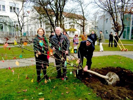 Gemeinsam pflanzten Johanna Rumschöttel, Helmut Dworzak und Reinhard  Wanninger einen Birnbaum neben der Alten Schule in Haar.	Foto: ikb