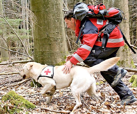 Hautnah: Am Samstag, 8. Dezember, von 9 bis 17 stellen sich auf dem Odeonsplatz die Rettungshunde des Roten Kreuzes München vor.	Foto: BRK